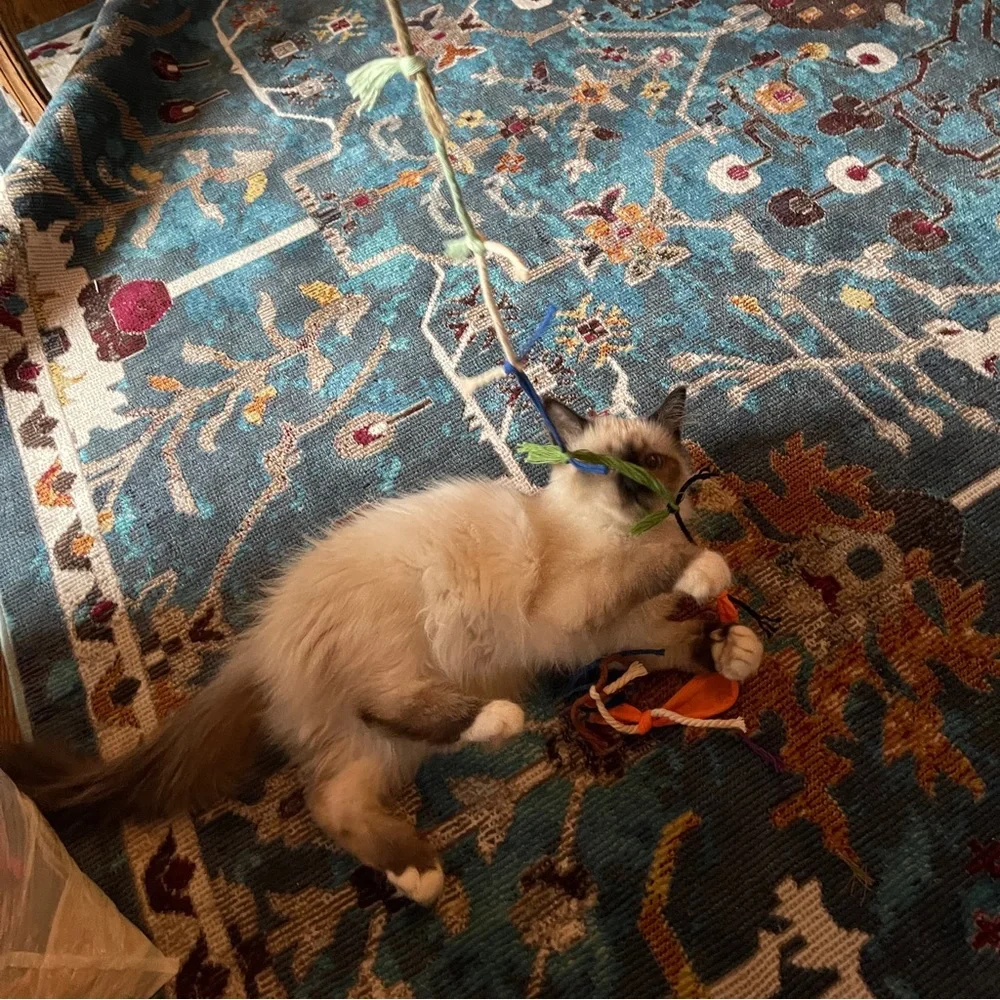 Handmade Sustainable Cat Toy